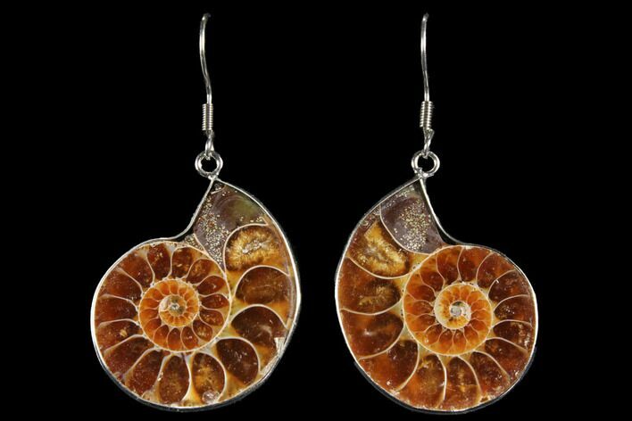 Fossil Ammonite Earrings #112222